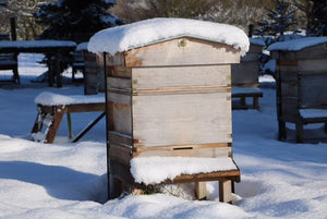 Hive entrance checking