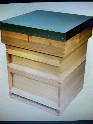 Hive national budget, flat pack, flat roof cedar wood quality product